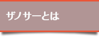 ザノサーとは